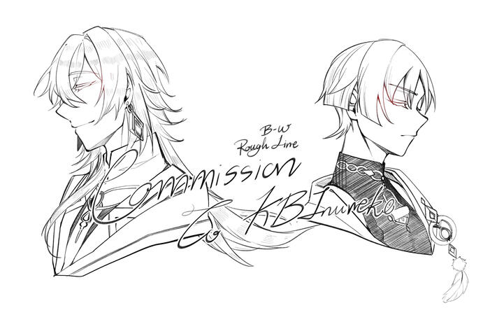 Rough Line